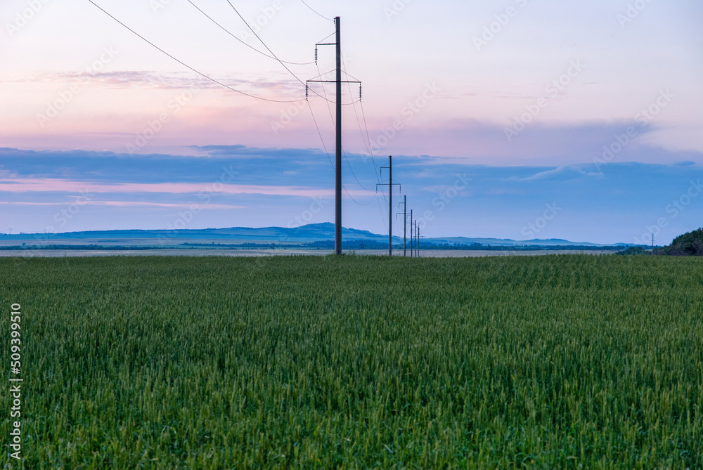Obraz premium lines in the field