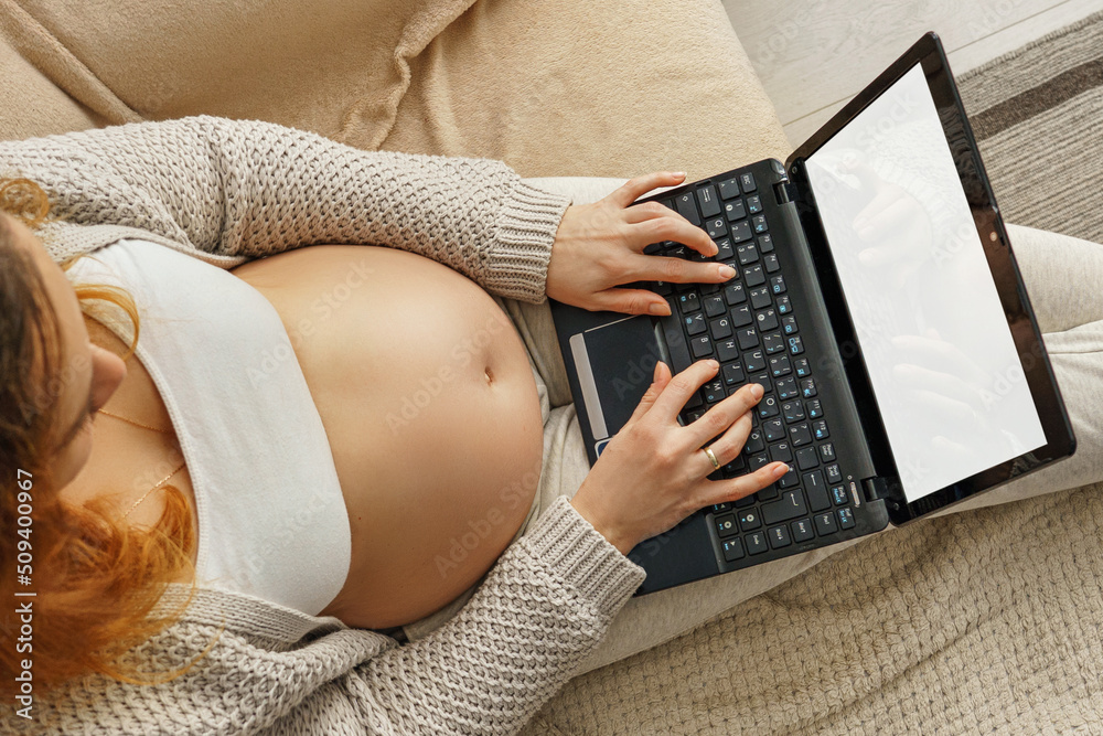 Naklejka premium Pregnant woman sitting on the sofa and connecting with her laptop