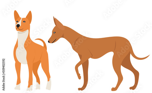 dogs in flat design, isolated vector