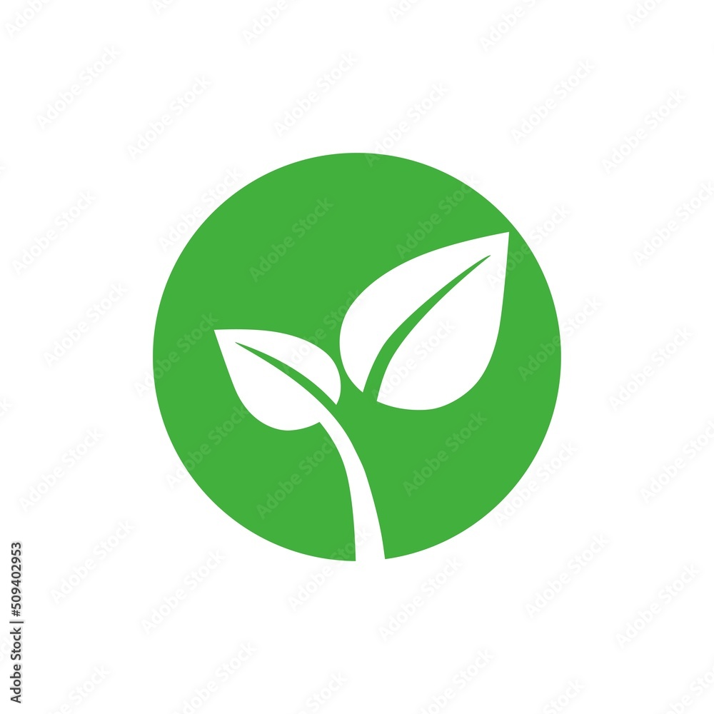 Eco leaf on a white background. Vector illustration Eco leaf on a white background. Vector illustration
