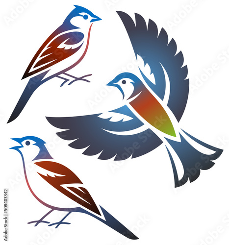 Stylised Birds - Common Chaffinch