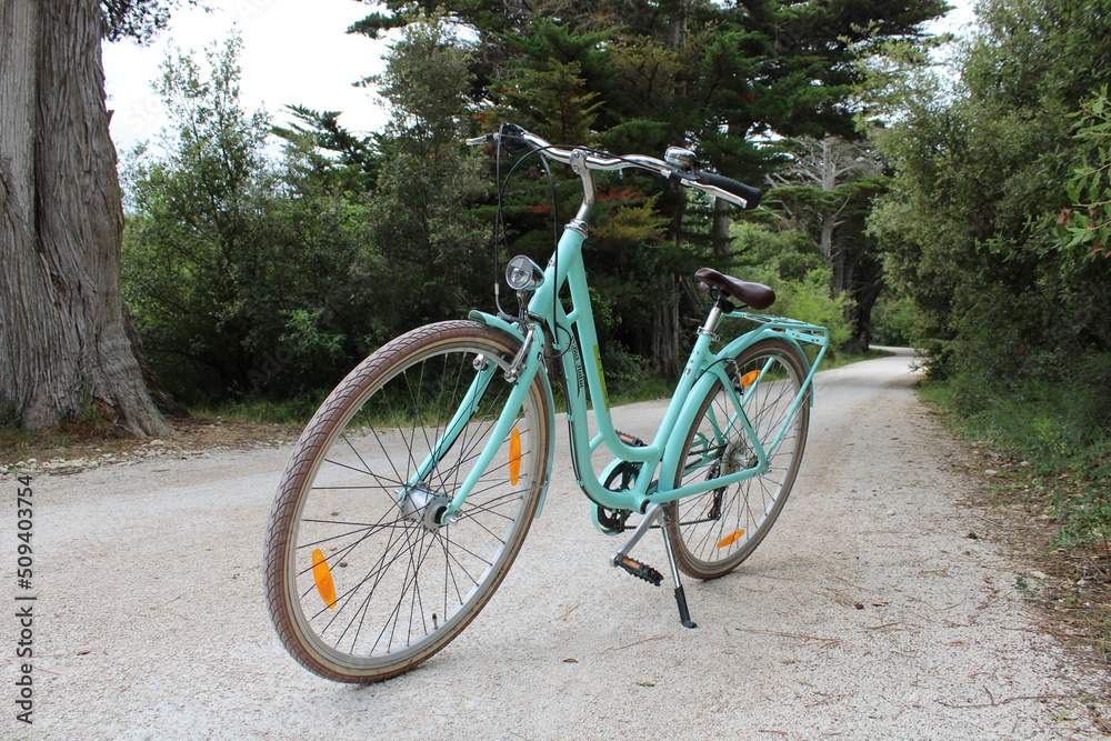 Vélo de location, itinéraire nature et voie verte et piste cyclable