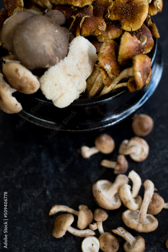 Top side view of dark bowl with a mix of wild mushrooms spilling out onto dark background. Top side view of dark bowl with a mix of wild mushrooms spilling out onto dark background.