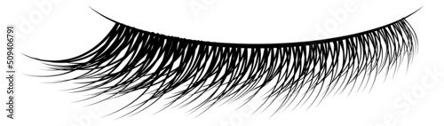Fake eyelashes. Realistic black mascara female makeup