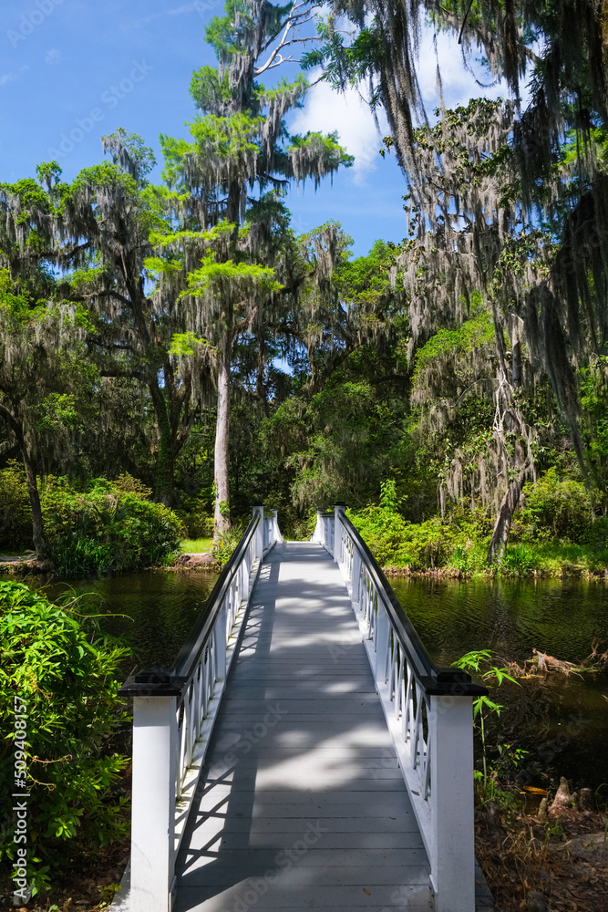 Fototapeta premium Beautiful white pedestrian bridge across a river in the popular southern town of Charleston in South Carolina