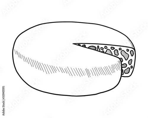 VECTOR CONTOUR DRAWING OF A CHEESE HEAD ON A WHITE BACKGROUND