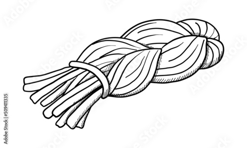 VECTOR CONTOUR DRAWING OF CHECHIL CHEESE ON A WHITE BACKGROUND