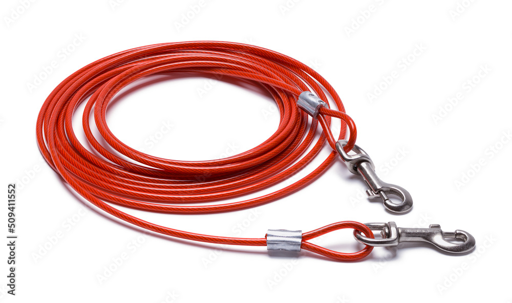 Dog Chain Dog Chain