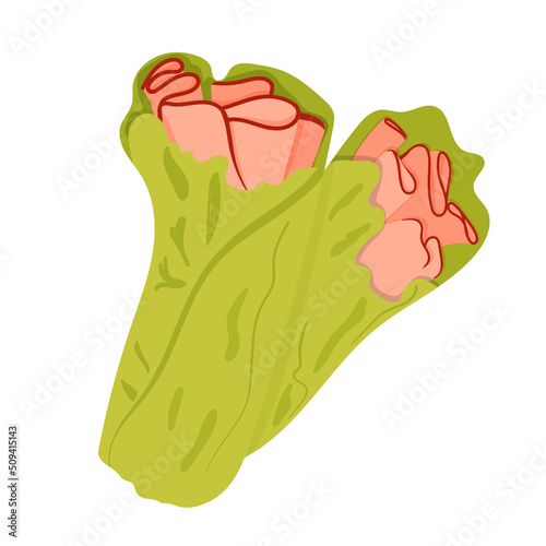 Ham , checken or turkey pieces wrap in mixed salad. Healthy food, protein