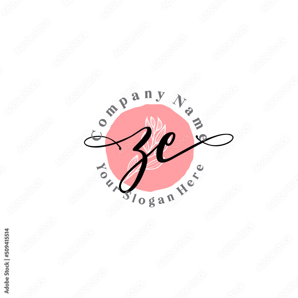 ZE signature logo template vector ZE signature logo template vector