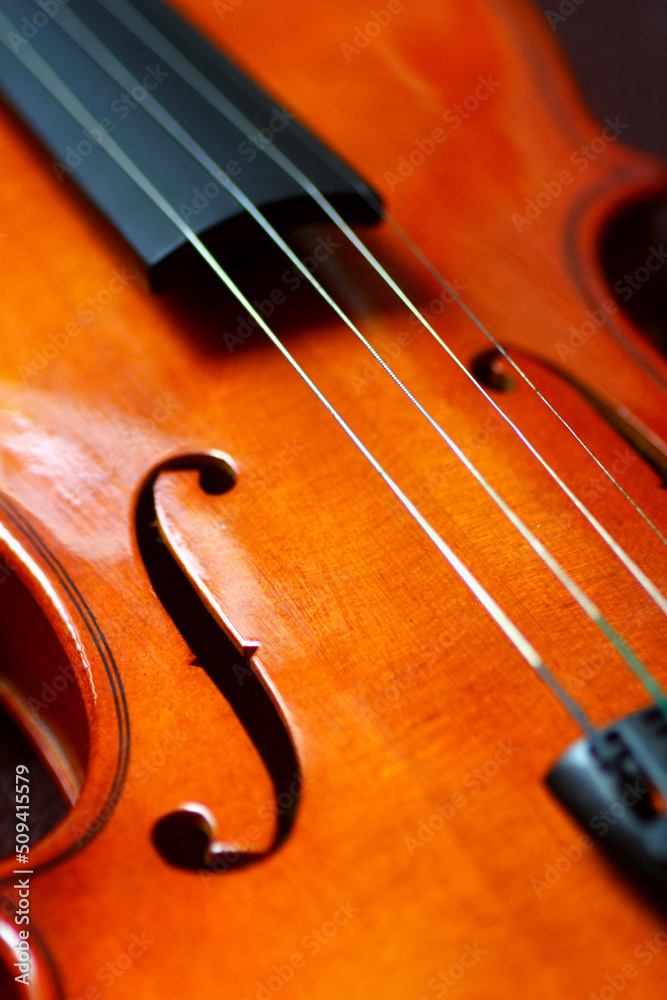 GROS PLAN VIOLON INCLINE VUE DU DESSUS GROS PLAN VIOLON INCLINE VUE DU DESSUS