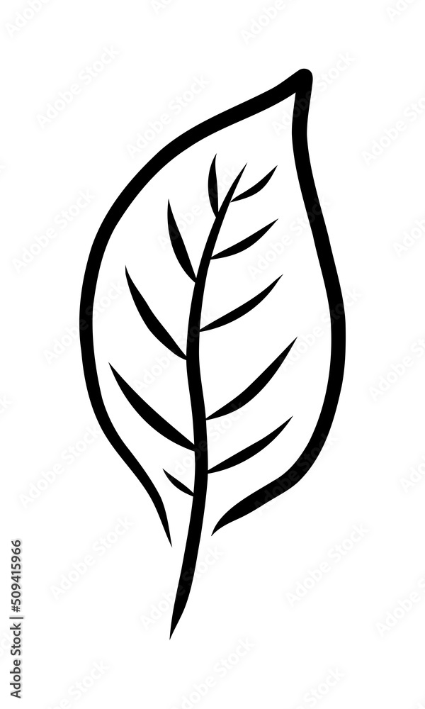 ISOLATED ON A WHITE BACKGROUND CONTOUR DRAWING OF A PLANT LEAF ISOLATED ON A WHITE BACKGROUND CONTOUR DRAWING OF A PLANT LEAF