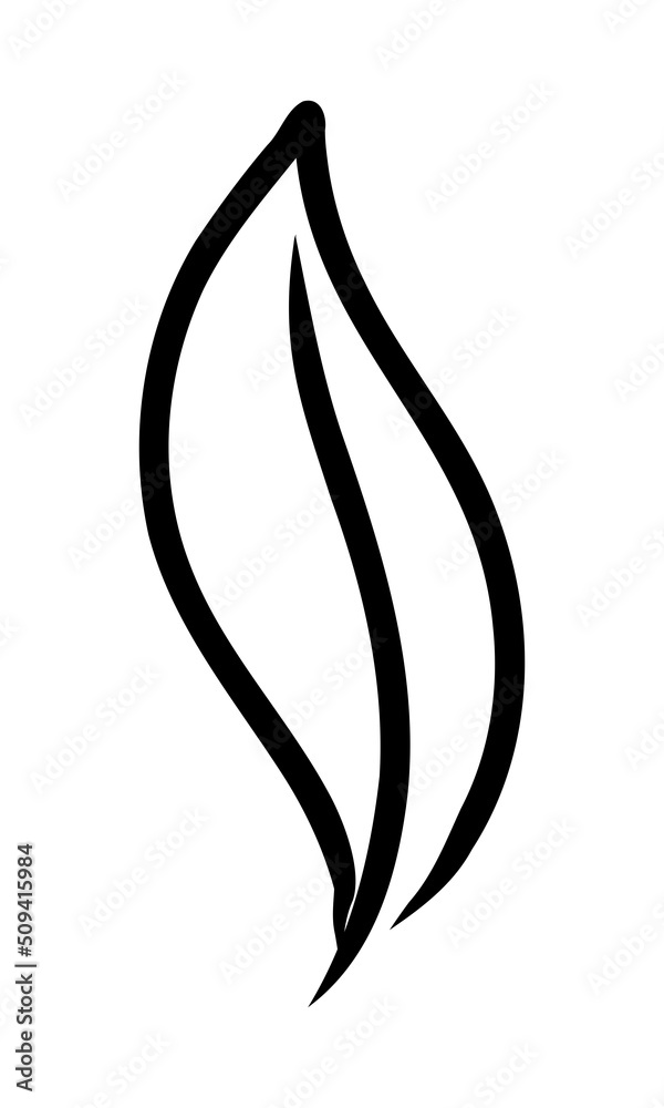ISOLATED ON A WHITE BACKGROUND CONTOUR DRAWING OF A PLANT LEAF ISOLATED ON A WHITE BACKGROUND CONTOUR DRAWING OF A PLANT LEAF