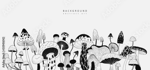 Set of various mystical mushrooms. Hippie magic boho wall art background. Psychedelic vector illustration. Magic and boho texture. Hand drawn style