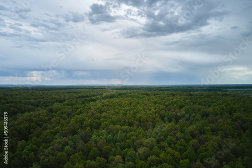 Aerial view of dark green lush forest with dense trees canopies in summer