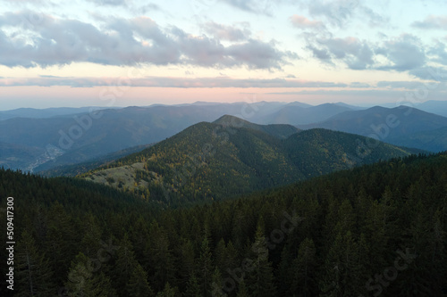 Aerial view of hillside with dark spruce forest trees at fall bright day. Beautiful scenery of wild mountain woodland