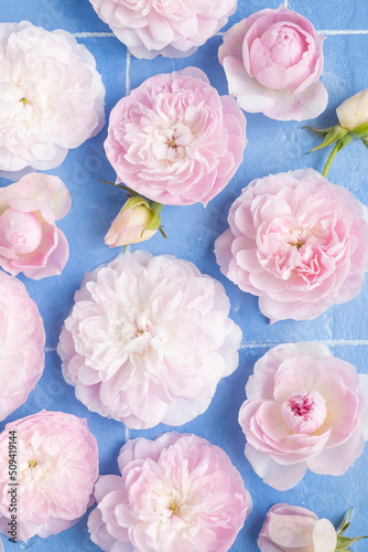 Sweet ice with rose flowers on blue background