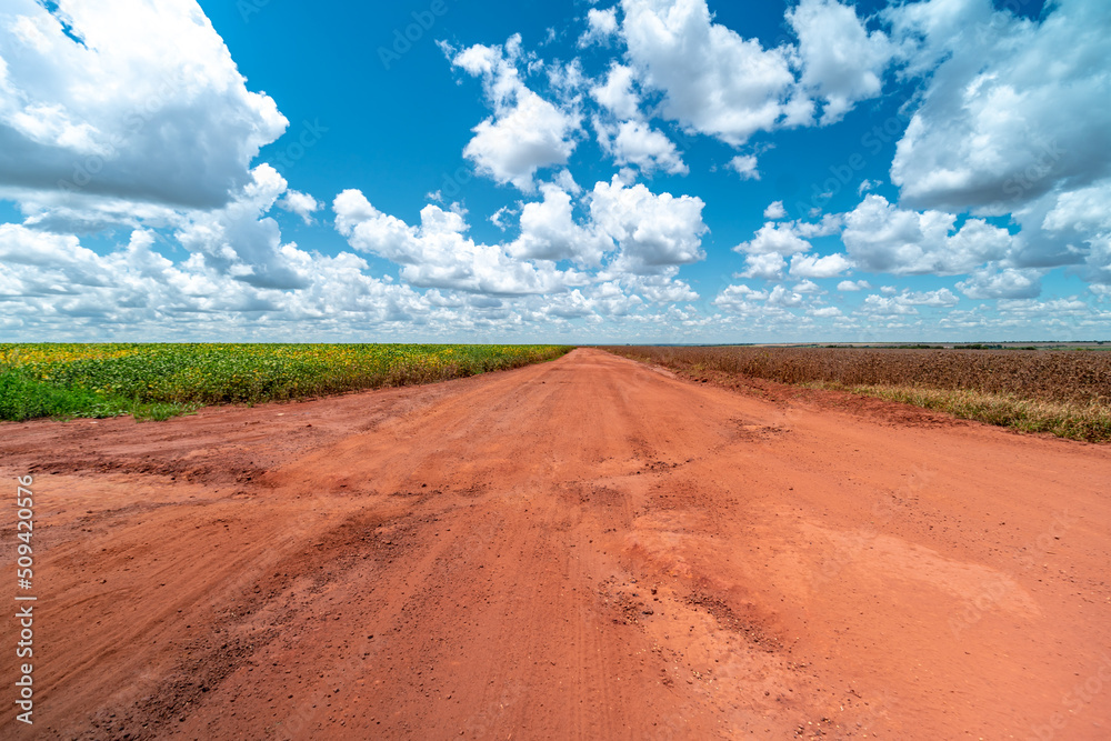 red earth road between fields in south america