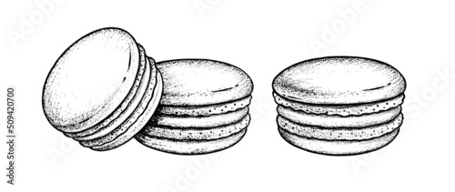 Vector sketch illustrations of Macarons