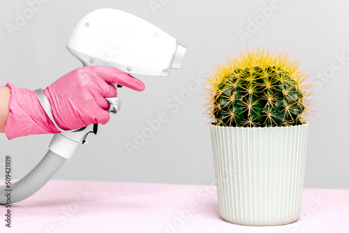 A cactus in a light green pot with yellow needles stands on a pink table, a laser hair removal device is aimed at it, the nozzle body on a gray background. Hair removal, joke, laser epilation, fun photo