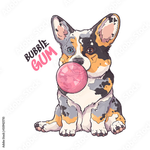 Portrait of the funny Corgi dog with pink bubble gum. Bubble gum - lettering quote. Cute dog puppy for posters, postcards, t-shirt prints. Vector hand drawn style illustration.