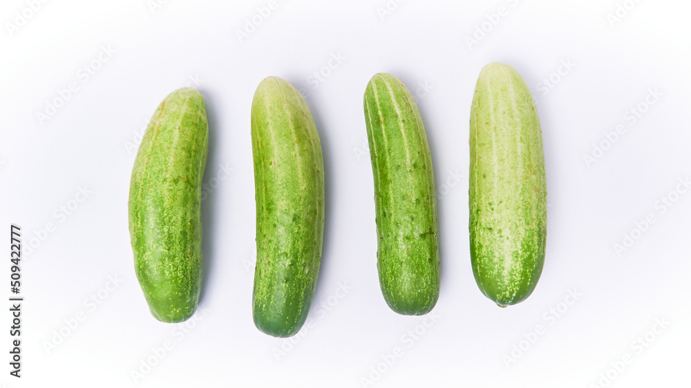 Close-up of fresh young cucumber isolated on a white background Close-up of fresh young cucumber isolated on a white background