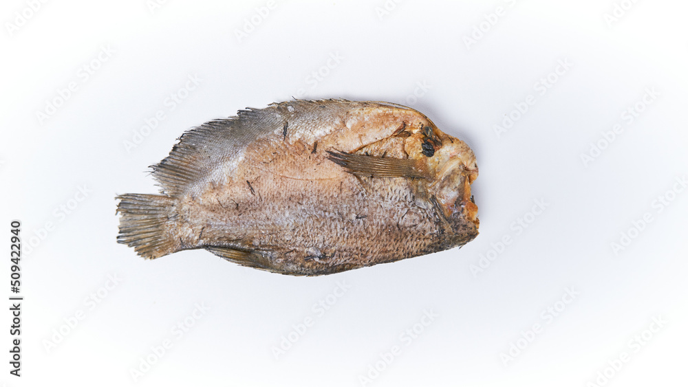 Close-up of salted fish isolated on a white background