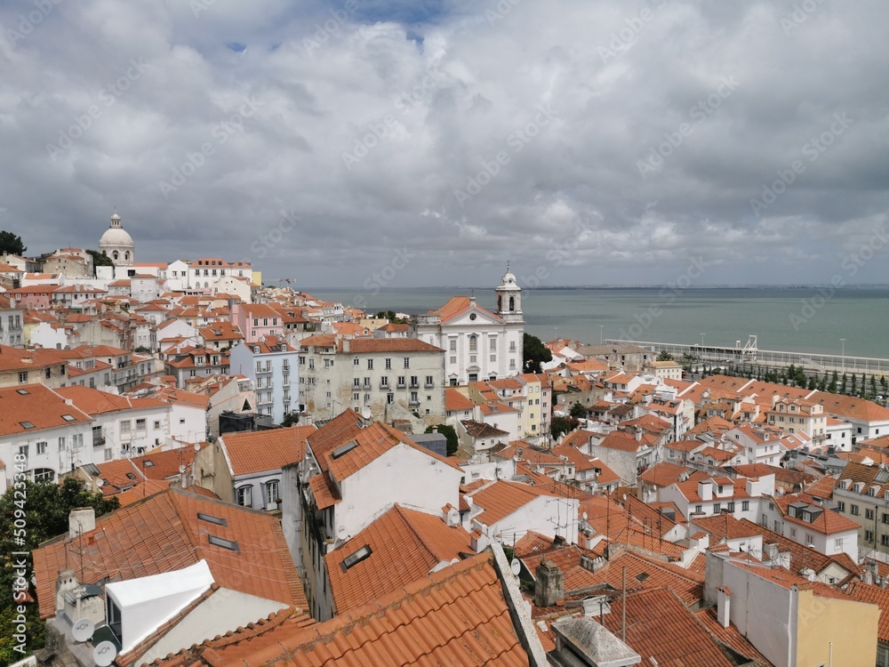 Obraz premium Lisbona - Portogallo - Scorci paesaggistici e monumenti - mozzafiato - azulejos - paone