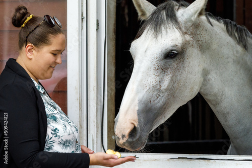 Female horse owner standing at the horse stable feeding with apple a silver color horse in the stall. The horse is looking out from the window of the stall. Horse stable view. Love for horses photo