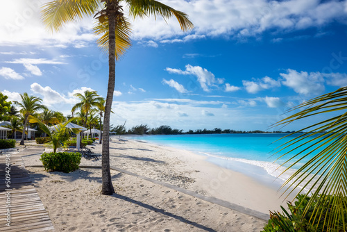 Fototapeta Naklejka Na Ścianę i Meble -  The beach of Cape Santa Maria at the north of Long Island, Bahamas, with turquoise sea and fine, white sand and coconut palm trees