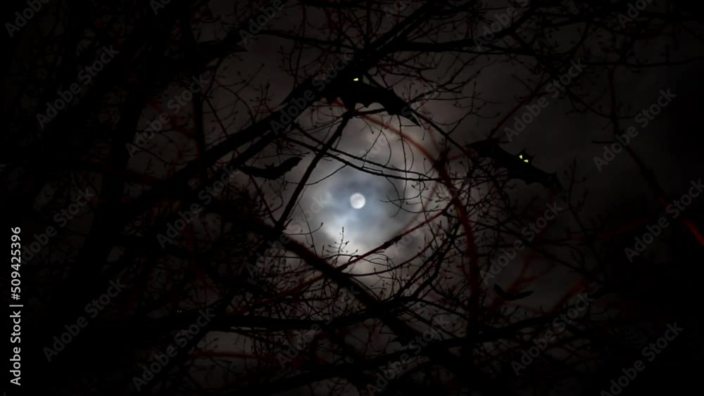 Black bats fly over branches trees against full moon and moving clouds at dark night. Mystery, horror and halloween concept. No people