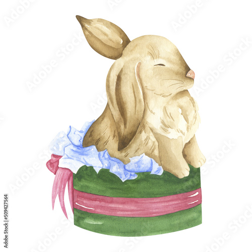 Cute rabbit in a gift box. Fluffy little bunny. Easter bunny. Rabbit symbol of the new year.
