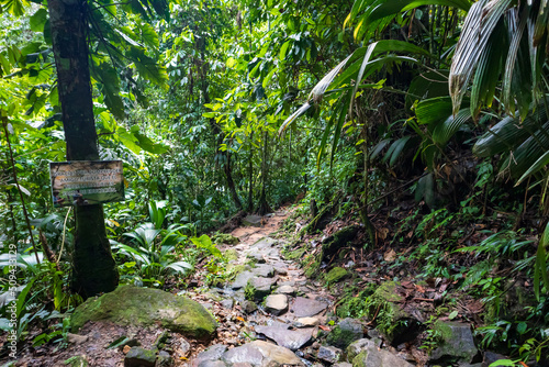 Fototapeta Naklejka Na Ścianę i Meble -  A sign indicates the entrance to a beautiful and tropical Amazonian nature reserve.