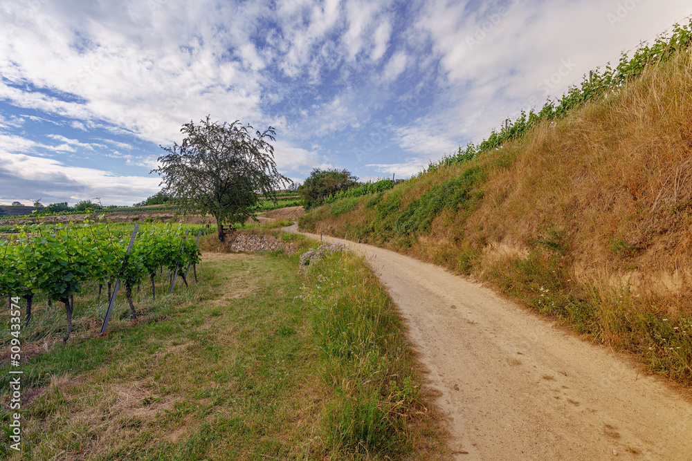 kaiserstuhl