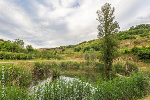 kaiserstuhl weiher bei ihringen photo