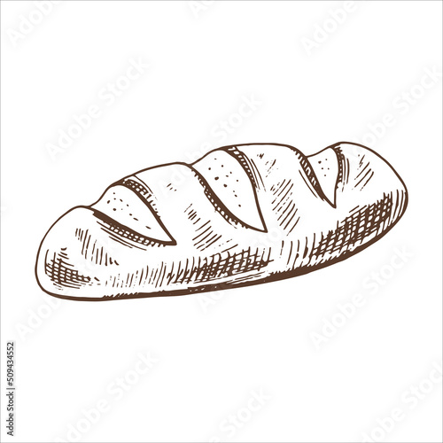 Vector hand drawn illustration of bread. Brown and white drawing isolated on white background. Sketch icon and bakery element for print  web  mobile and infographics.