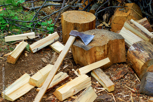 Valokuvatapetti axe and firewood