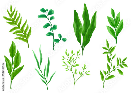 Set of green leaves. Spring or summer stylized foliage.