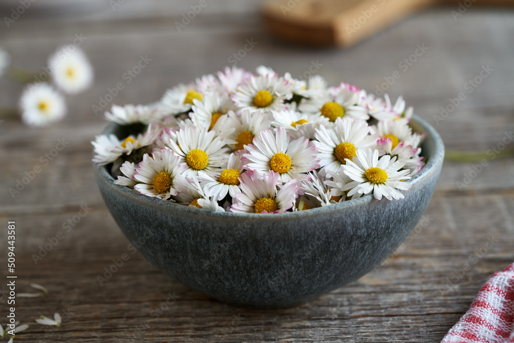 Common daisy flowers in a bowl
