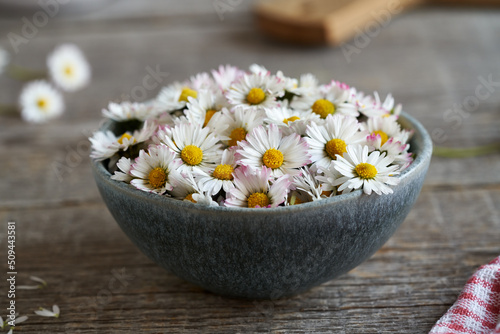 Common daisy flowers in a bowl
