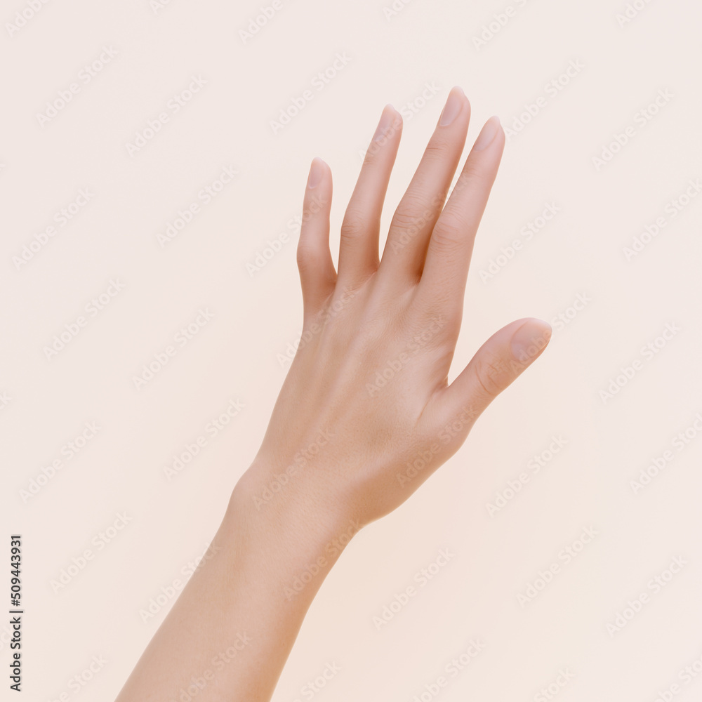 Woman open hand pose 3d rendering, fingers palm beautiful arm isolated