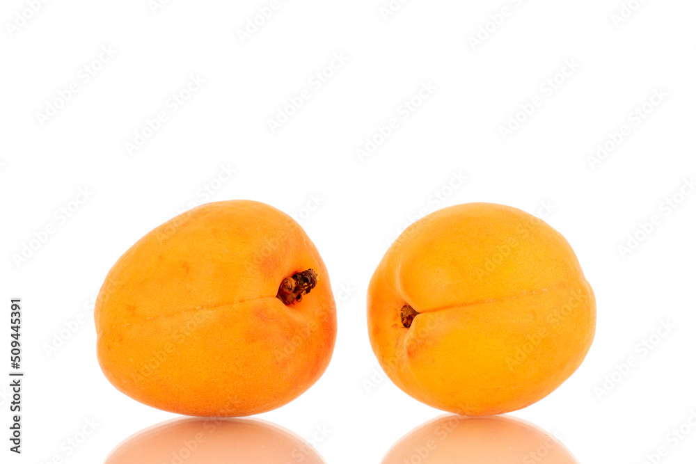 Two ripe sweet apricots, close-up, isolated on a white background. Two ripe sweet apricots, close-up, isolated on a white background.