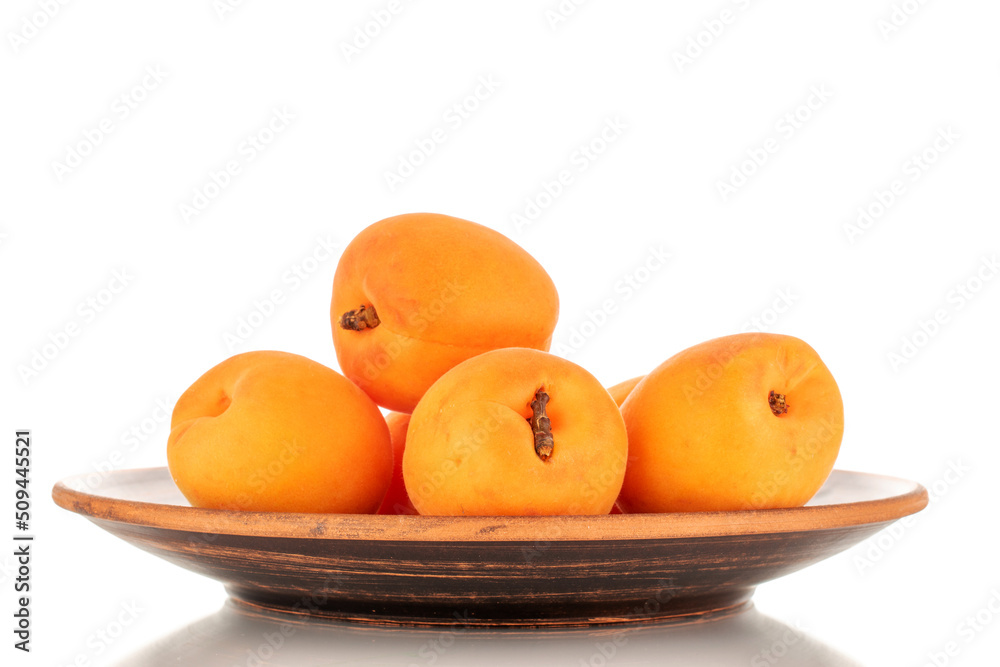 Several ripe sweet apricots with ceramic dishes, close-up, isolated on a white background. Several ripe sweet apricots with ceramic dishes, close-up, isolated on a white background.