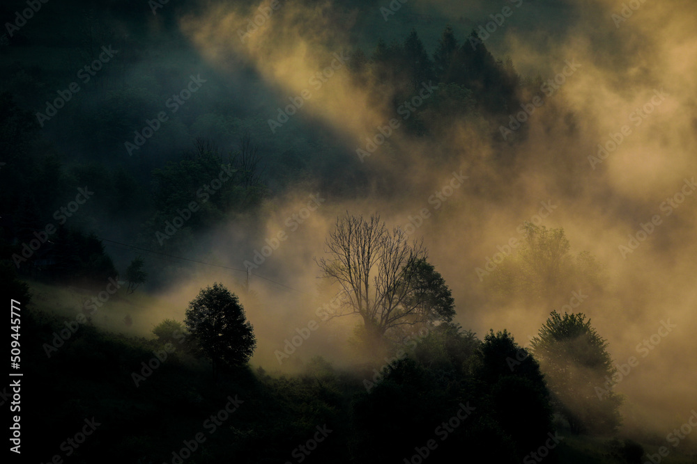Pieniny