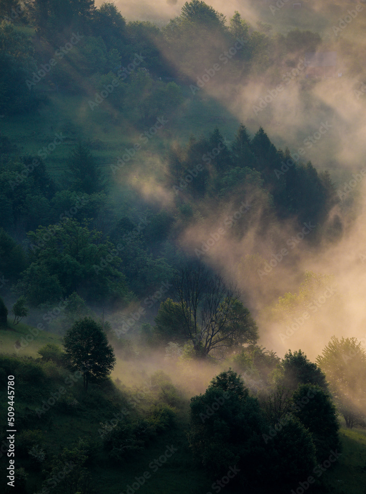 Pieniny