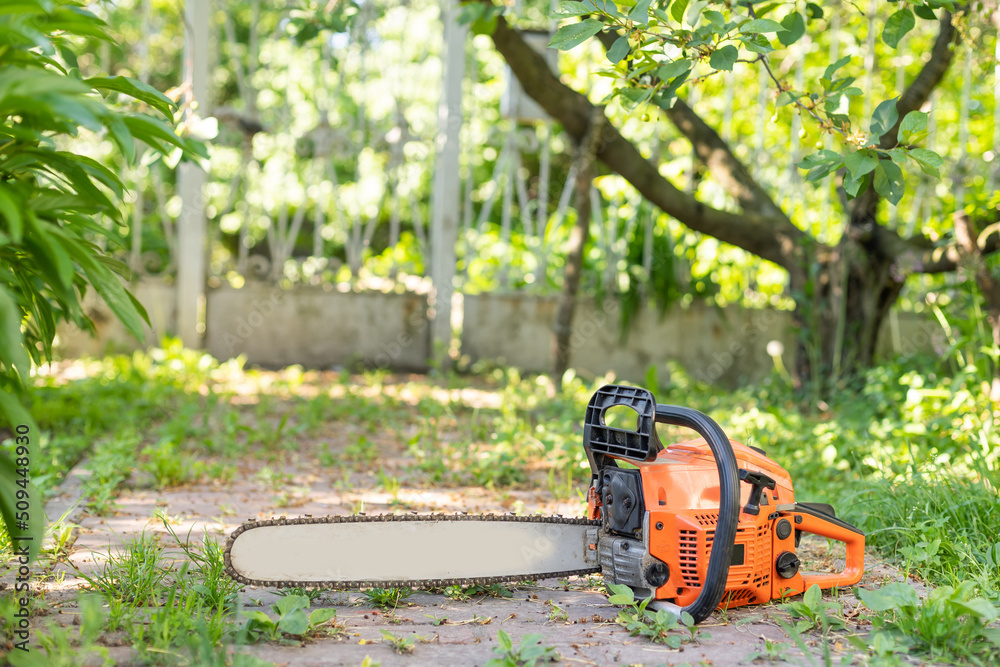 Close-up professional chainsaw blade cutting log of wood Close-up professional chainsaw blade cutting log of wood