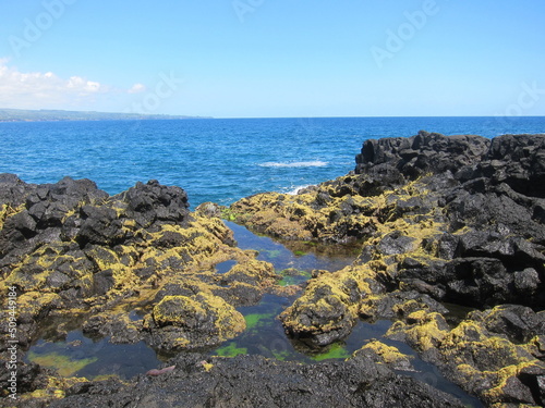Black volcanic rocks covered with yellow moss. Deep blue sea and clear blue sky. Chalk's Beach at Hilo, Big Island of Hawaii. photo