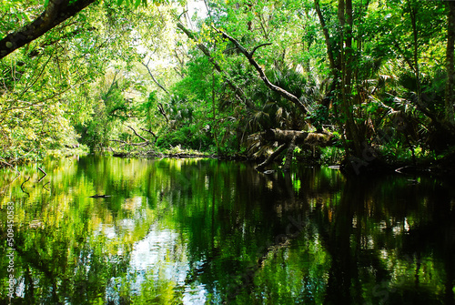 Canoeing at the Rock springs river in nature Kelly park Central Florida © Magdalena