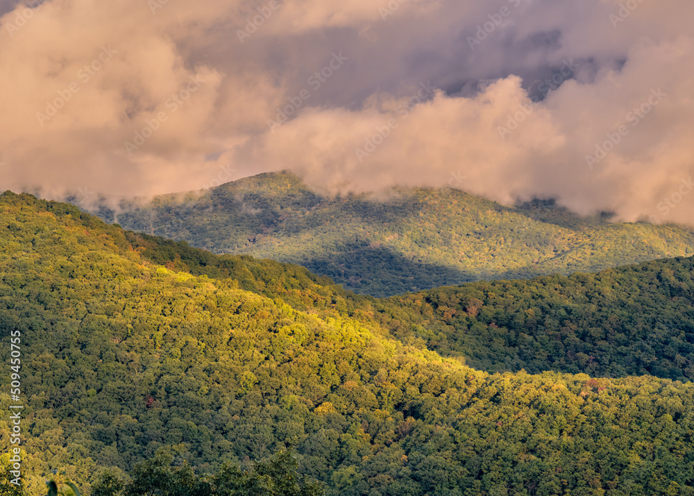 Obraz premium Fall Fog