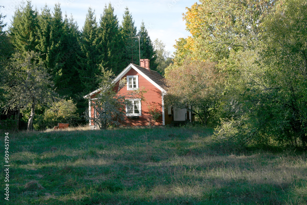Old house and tree